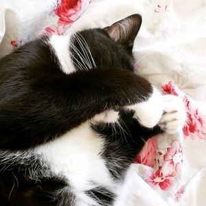 Meet your Posher, Katerina